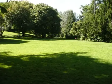 A lush green lawn surrounded by mature trees.
