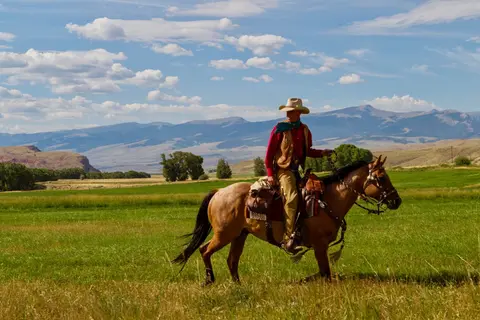 A cowboy rides a horse through a grassy field with mountains in the background.