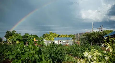 A rainbow stretches across the stormy sky above a community garden.