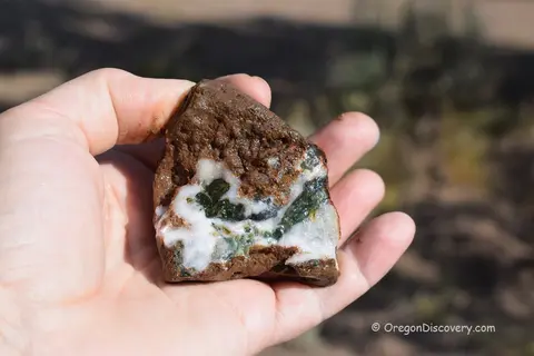 A hand holding a rock containing white and green mineral deposits.
