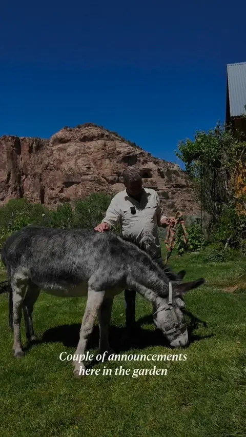 A man stands with a donkey in a grassy area with mountains in the background.