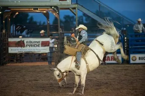 A cowboy rides a bucking horse at a rodeo arena.