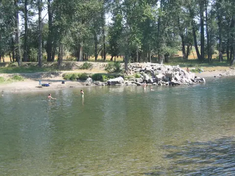 People swimming in a river with a wooded bank and rocky shore.