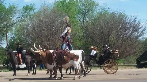 People dressed in western wear riding horses and a carriage with a longhorn steer in a parade.