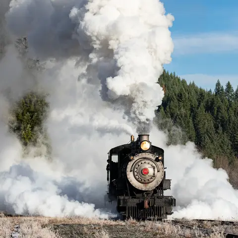 A steam locomotive releases a large cloud of white steam.