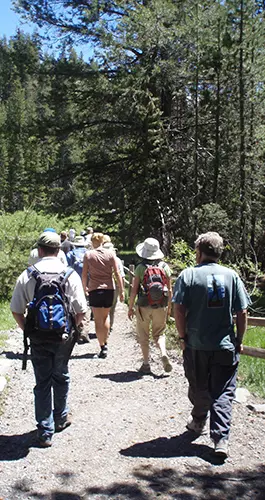 A group of people hiking on a dirt trail through a forest.