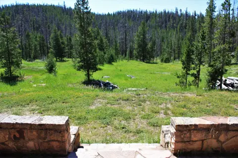 A grassy meadow bordered by pine trees viewed from a stone structure.