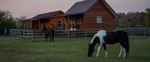 Two horses graze in a pasture in front of wooden cabins.