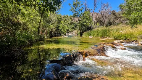 A scenic view of a clear shallow river flowing through a lush green forest.