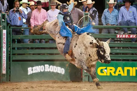 A bull rider rides a bucking bull at a rodeo.