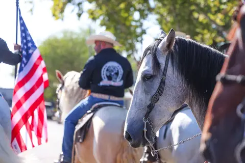 A horse's head in the foreground with riders and an American flag outdoors.