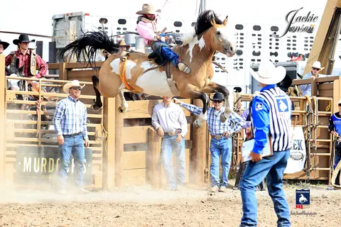 A cowboy rides a bucking horse at a rodeo.