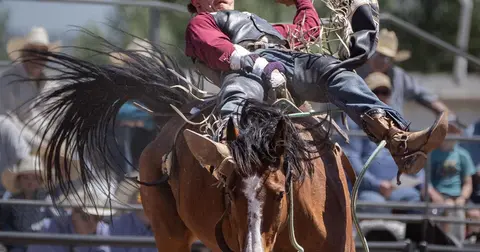 A cowboy rides a bucking horse at a rodeo.