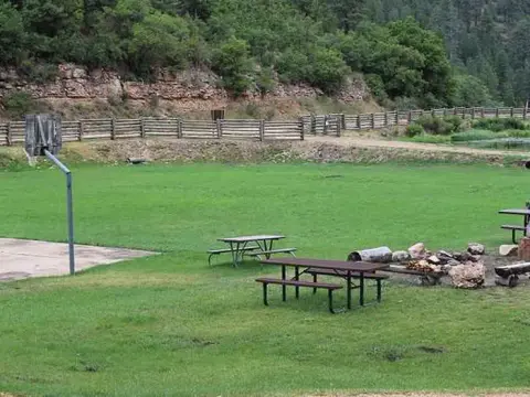A grassy recreational area with a basketball hoop, picnic tables, and a fire pit near a wooden fence and wooded hillside.