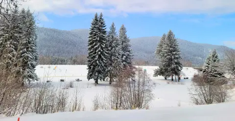A snowy landscape features tall evergreen trees and distant mountains under a partly cloudy sky.