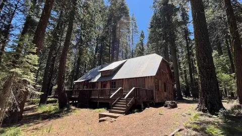 A wooden cabin surrounded by tall trees in a forest.
