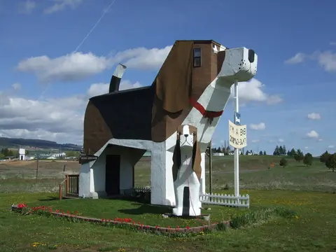 Giant beagle sculptures at Dog Bark Park.