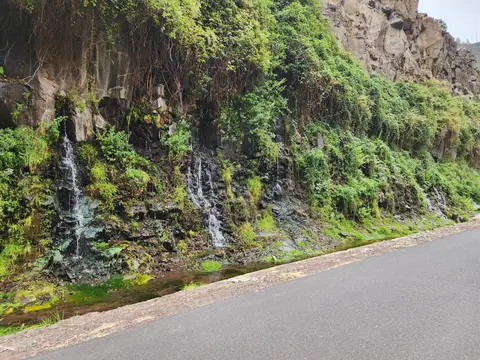 Water trickles down a steep, green-covered rock wall next to a paved path.