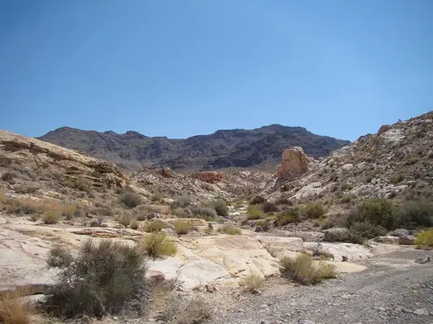 A view of a desert landscape with rocky terrain and mountains under a clear blue sky.