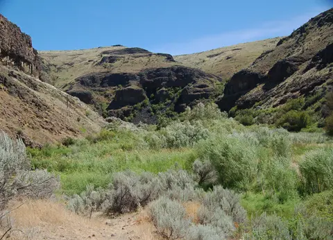 A rugged canyon landscape with sparse vegetation and rocky cliffs under a blue sky.