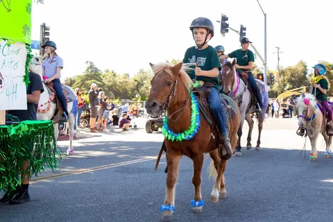 Children ride ponies and horses in a street parade.