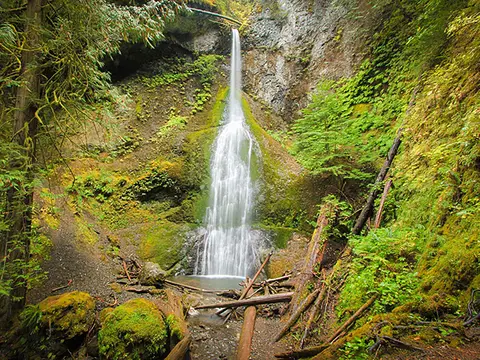 A waterfall flows down a mossy rock face into a pool surrounded by lush forest greenery.