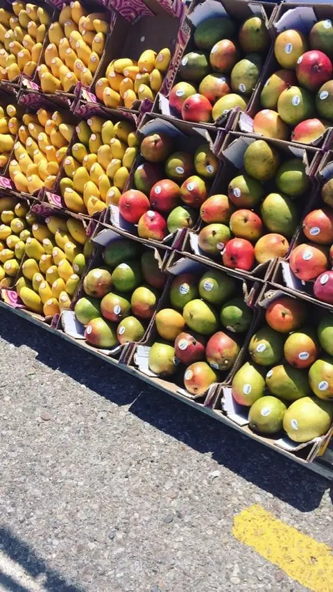Boxes of fresh bananas and mangoes displayed for sale.