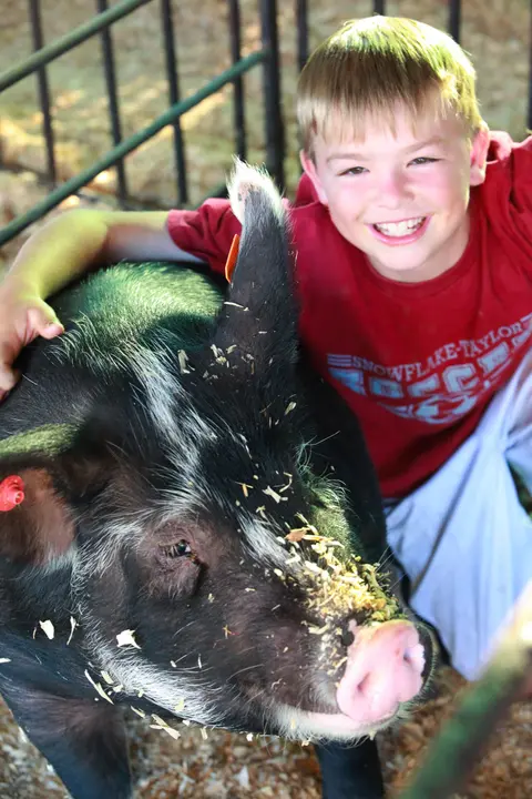 A smiling boy hugs a black pig in a pen.