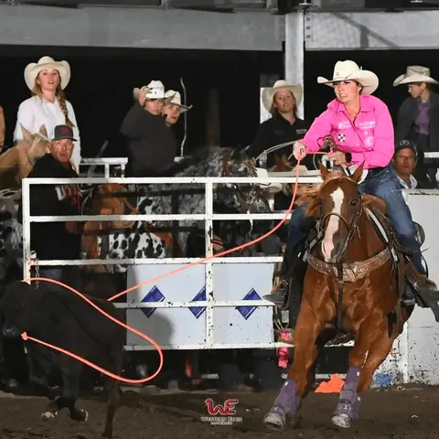 A cowgirl on a horse ropes a calf in an indoor arena.