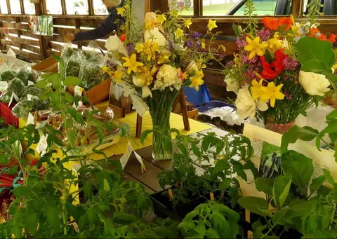 A market stall features fresh flower arrangements and potted plants.