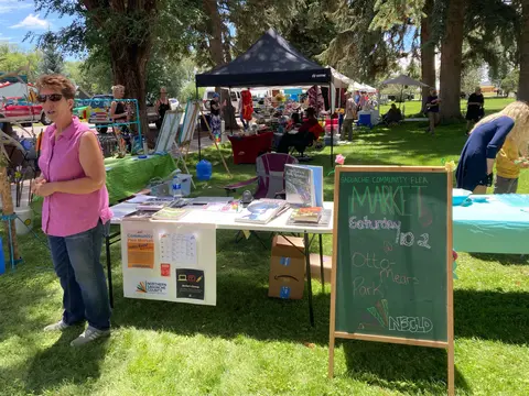 An outdoor market set up in a park on a sunny day.