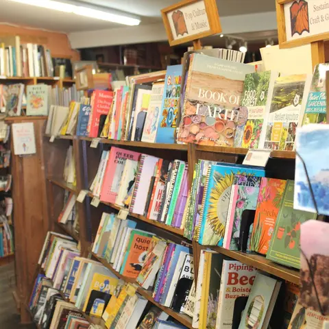 Wooden bookshelves are stocked with various books in a bookstore.