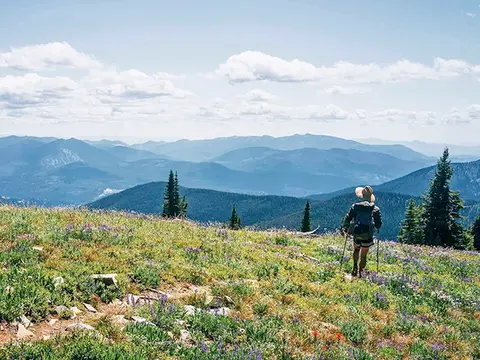 A hiker with poles walks through a mountain meadow overlooking distant ranges.