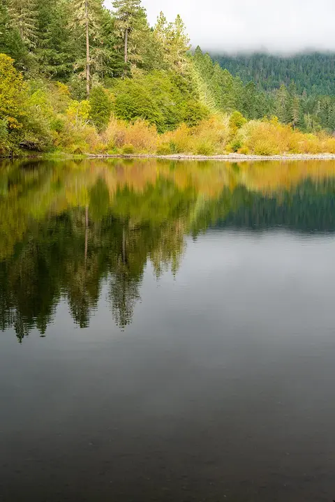 A calm river reflects a forested shore with changing autumn colors under a cloudy sky.