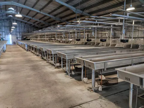 A long indoor warehouse space filled with rows of metal troughs.