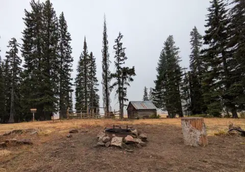 A rustic cabin in a clearing surrounded by tall pine trees.