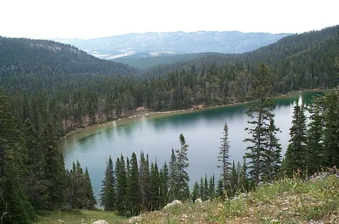 A scenic view of a mountain lake surrounded by dense evergreen forests and distant hills.