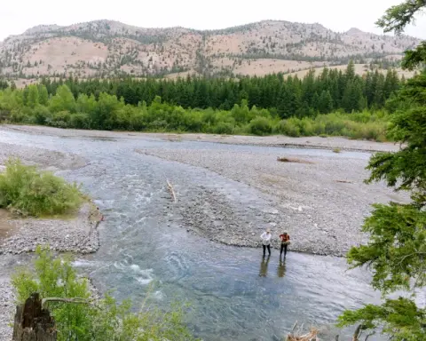 Two people stand in a shallow river with mountains and forests in the background.