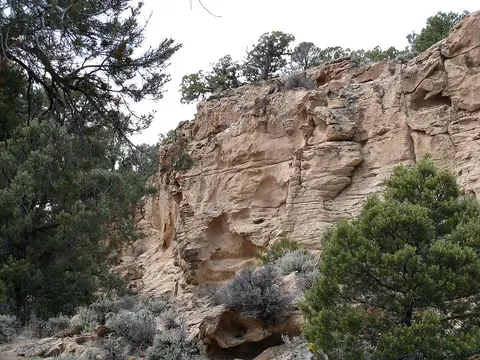 A rocky sandstone cliff face with trees and scrub bushes surrounding it.