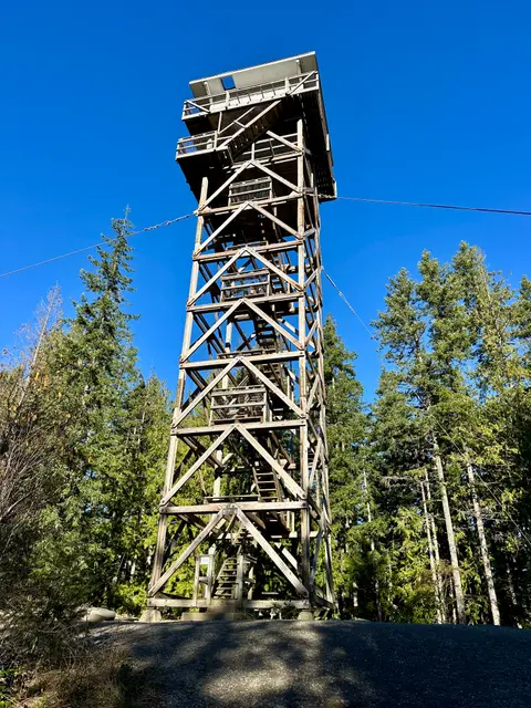 A tall wooden fire lookout tower stands among evergreen trees under a clear blue sky.