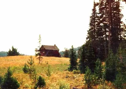 A small cabin sits on a grassy hill surrounded by trees.
