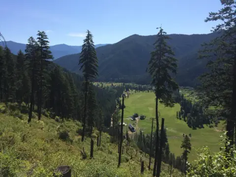 A scenic view of a green valley surrounded by pine trees and mountains under a blue sky.