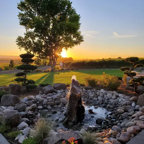 A sunset glows behind a large tree in a garden with a stone water fountain in the foreground.