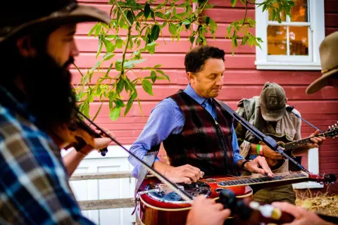 Live music performance at TomalesFest.