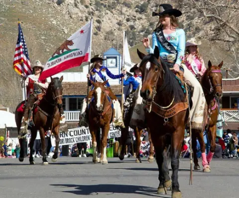 A group of women ride horses in a parade, carrying flags.