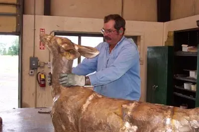 A man works on a taxidermy deer mount indoors.