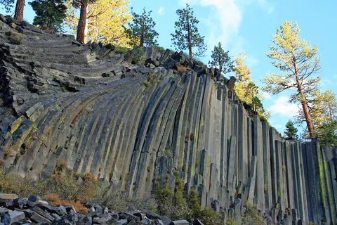 A natural landscape showing towering basalt columns with pine trees growing along the top.