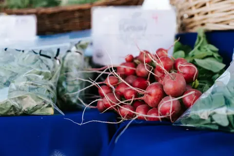 A bunch of fresh radishes displayed on a blue table at a market.