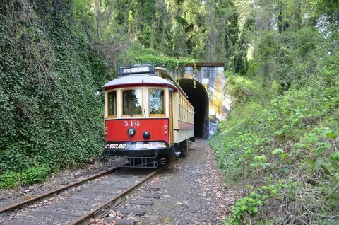A vintage trolley car on tracks near a tunnel entrance surrounded by trees and greenery.