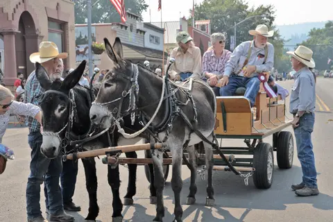 People ride in a cart pulled by two donkeys down a town street.